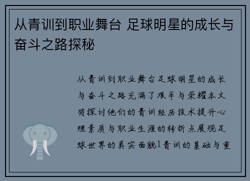 从青训到职业舞台 足球明星的成长与奋斗之路探秘