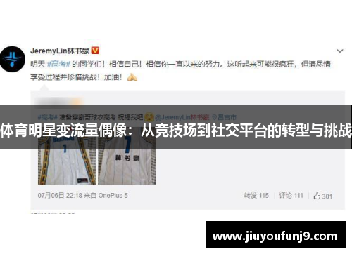 体育明星变流量偶像：从竞技场到社交平台的转型与挑战